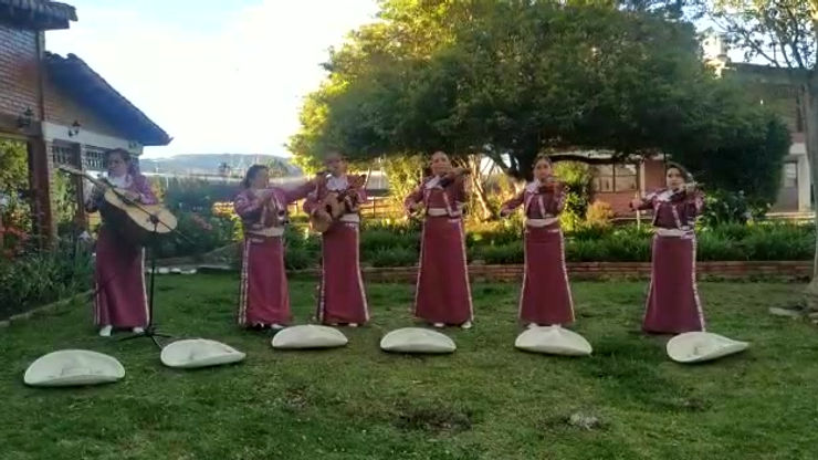 SYNESTESIA Servicios musicales Mariachi en Bogotá